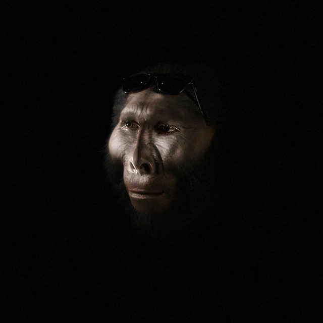 HOMINID