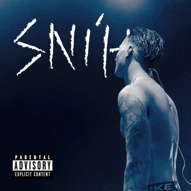 Sníh