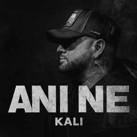 Ani ne