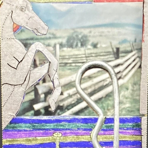 BRONCO (2025)