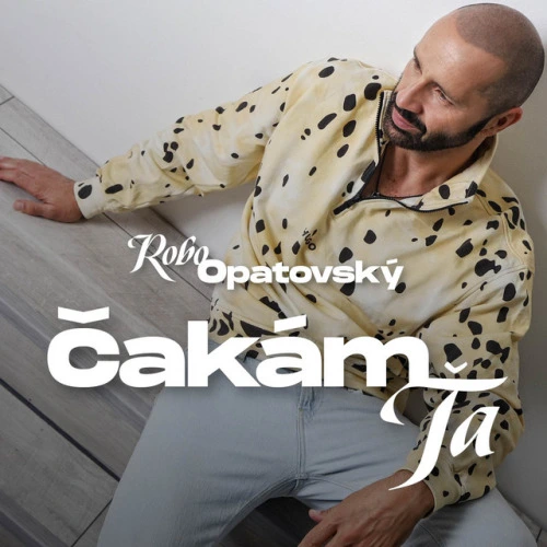 Čakám ťa