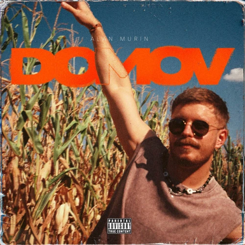 Domov