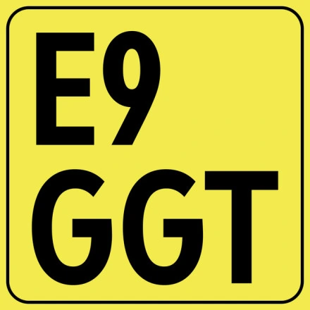 E9 GGT
