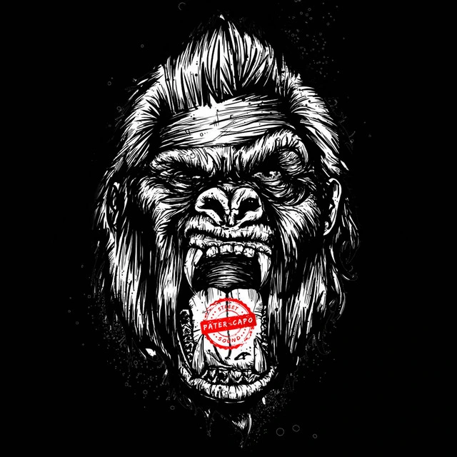 Gorilla 1 - Freestyle