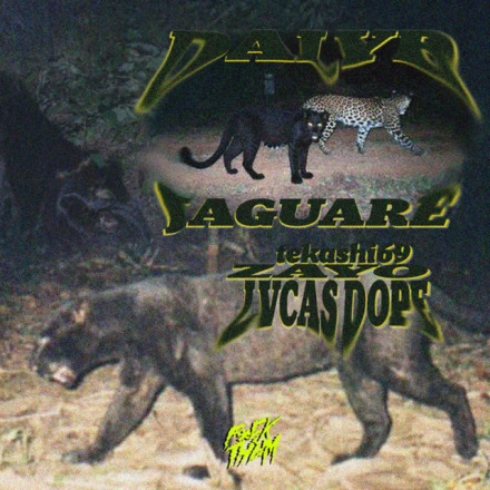 Jaguare