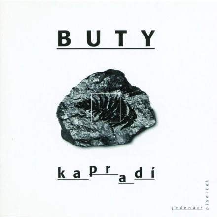 Kapradi