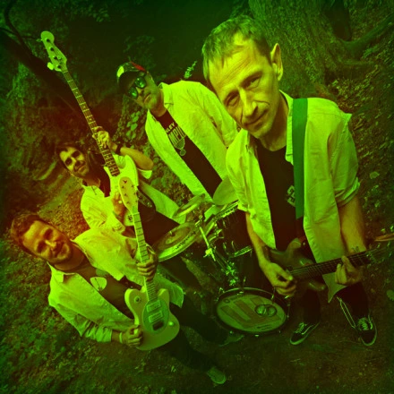 Kopřivy