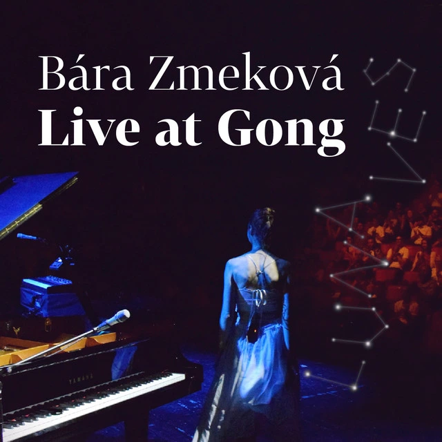 Den je moc dlouhý - Live at Gong