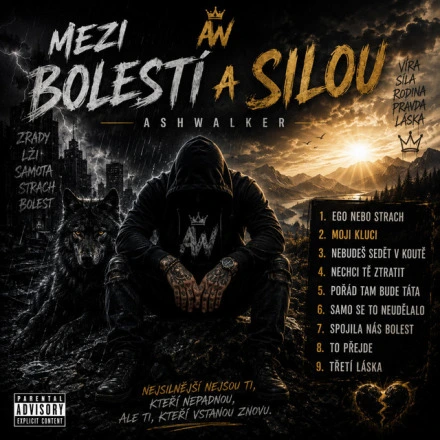 MEZI BOLESTÍ A SILOU