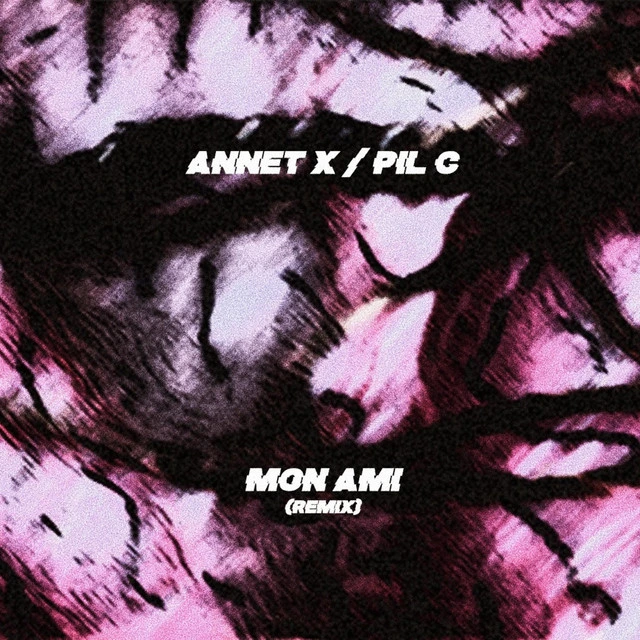 Mon Ami - Remix
