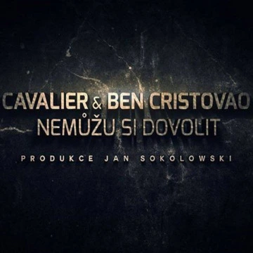 Nemůžu si dovolit (2014)