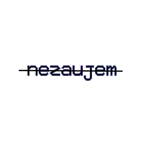 NEZAUJEM