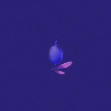 Olivia (kvítek Flip) (2017)