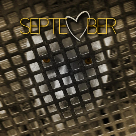 September