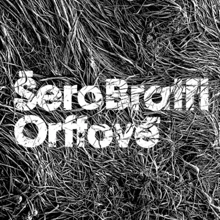 Šero
