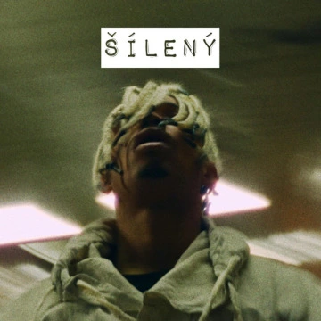 Šílený (2020)
