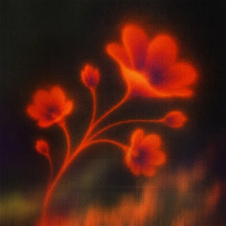 Sombras