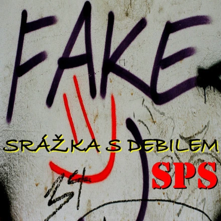 Srážka s debilem