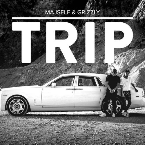 Trip (2017)