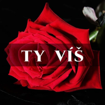 Ty Víš