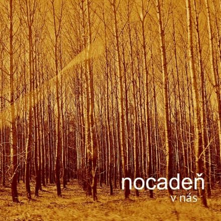 V Nas