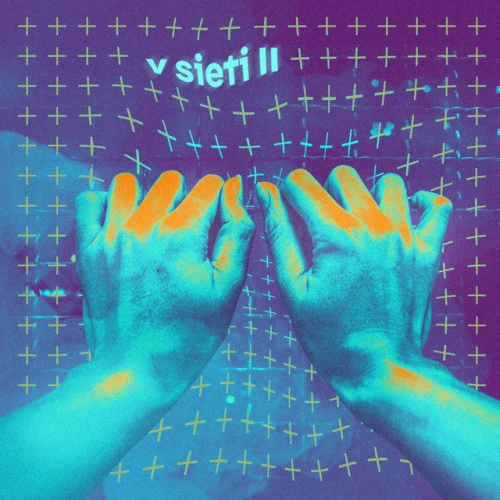 V Sieti 2 (2018)