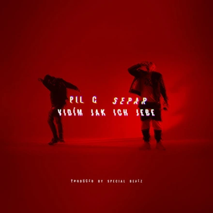 Vidim Jak Ich Jebe (feat. Separ)