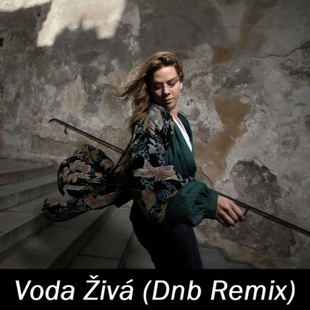 Voda Živá (Dnb Remix)