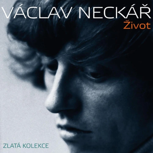 Tu Kytaru Jsem Koupil Kvůli Tobě